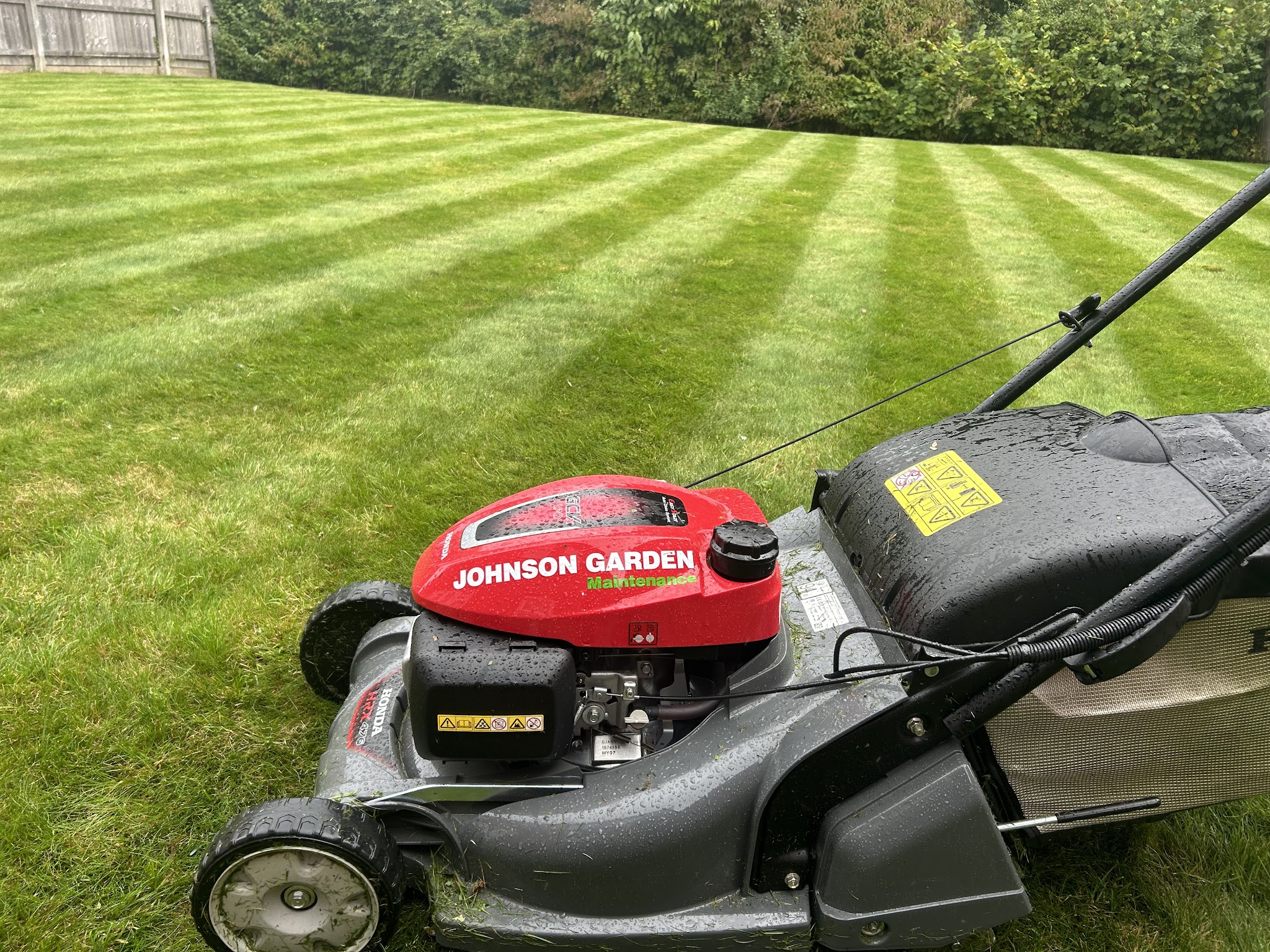 Our Johnson Garden Maintenance mower on a freshly striped lawn