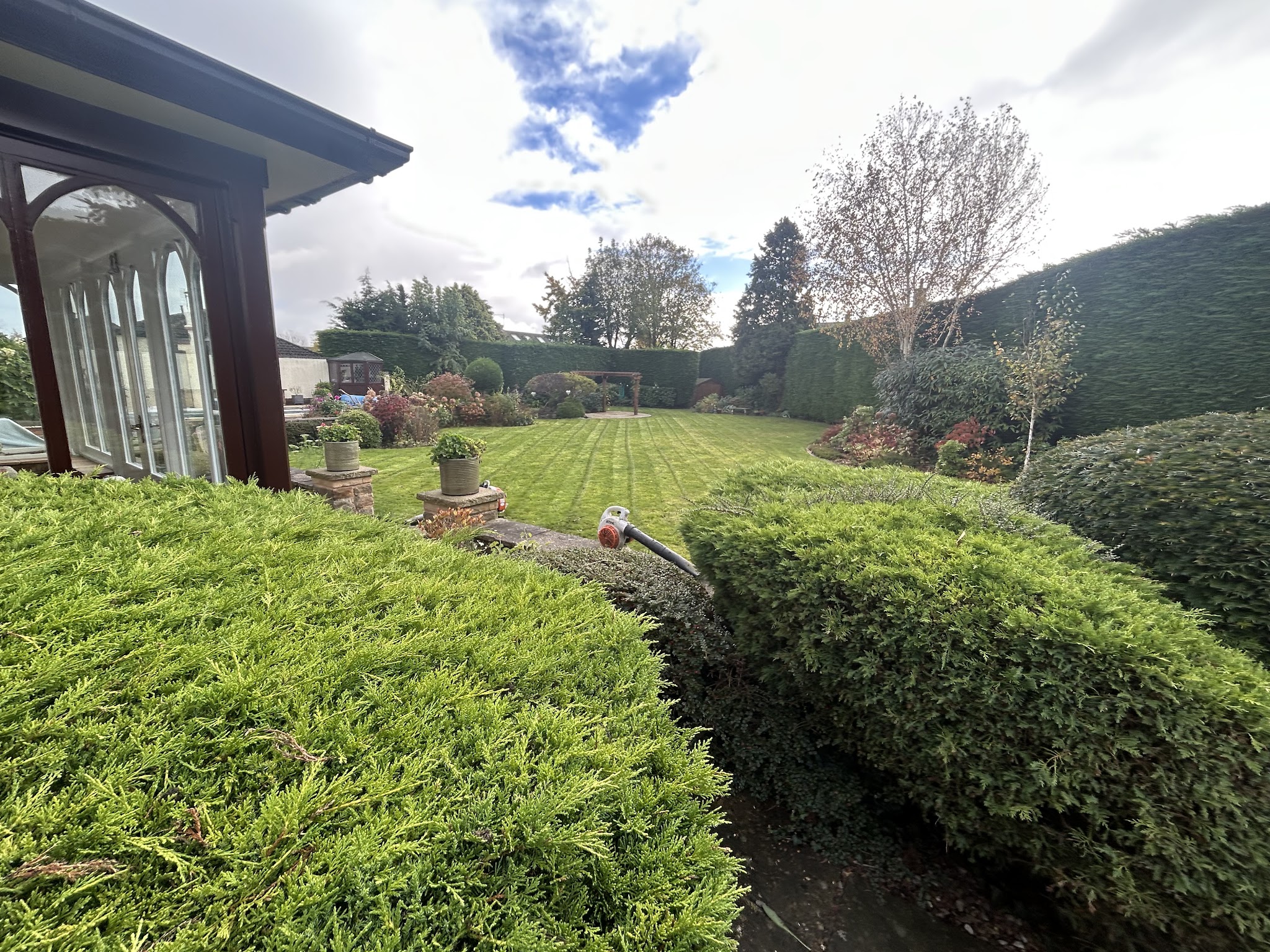 Neatly clipped shrubs and a trimmed lawn beside a conservatory